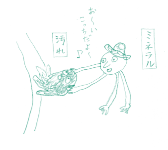 大切な肌と衣服を洗うために